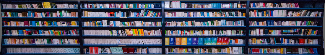 Biblioteca Virtual